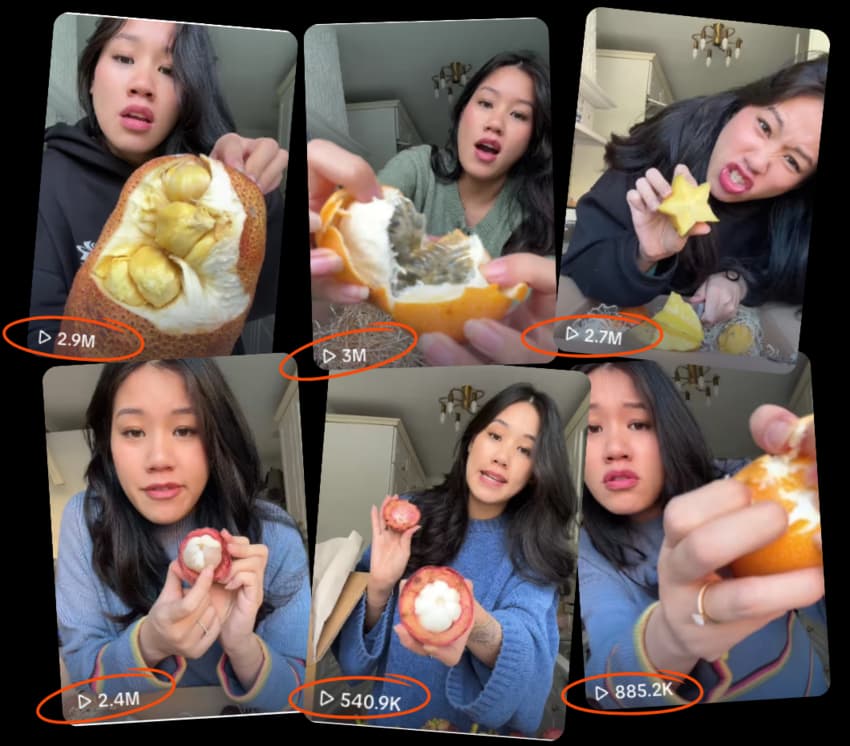 Jurassic Fruit TikTok Collage